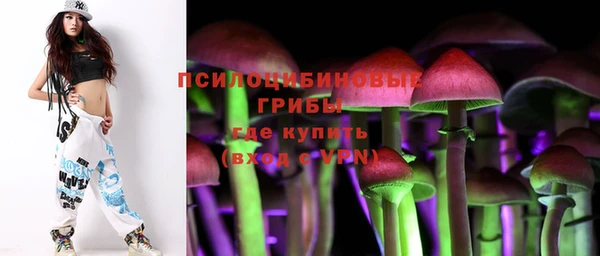 молекула духа Кинешма