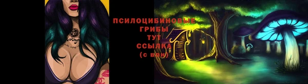 молекула духа Кинешма