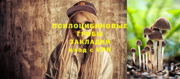 твердый Киренск