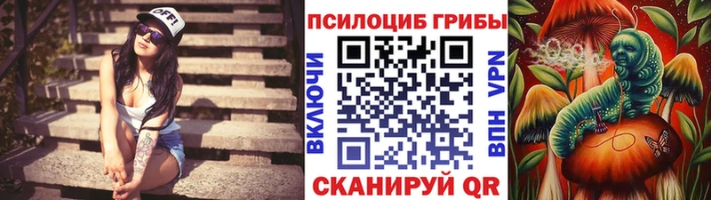 Купить закладки  Снежинск  Псилоцибиновые грибы мухоморы 